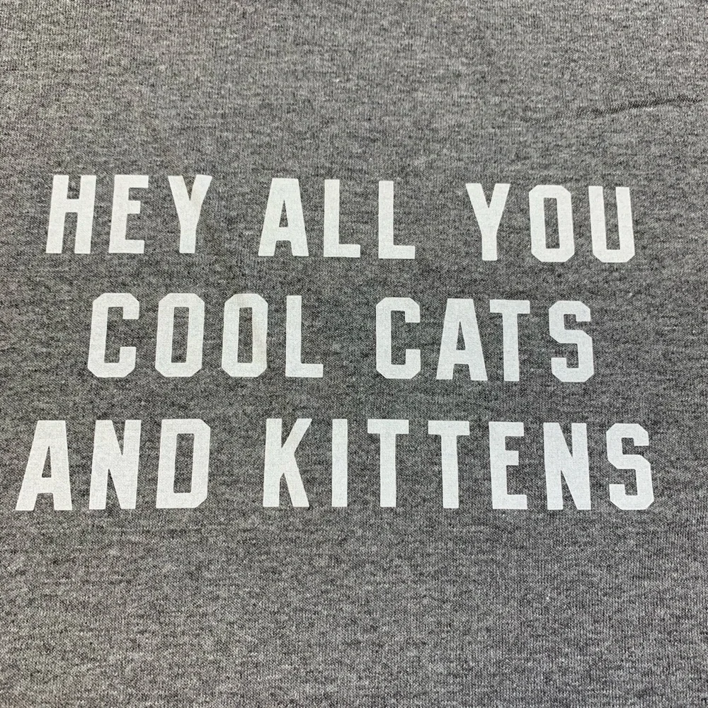 Delta Pro Weight Hey All You Cool Cats And Kittens Graphic T-Shirt Gray Large - Picture 2 of 4